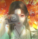 恰似惊鸿照影来