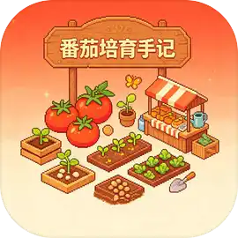 番茄培育手记
