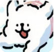 小白大战小鸡毛