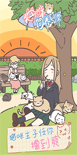 猫咪饲养日常截图1