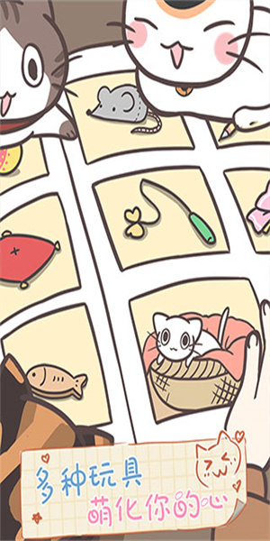 猫咪饲养日常截图2