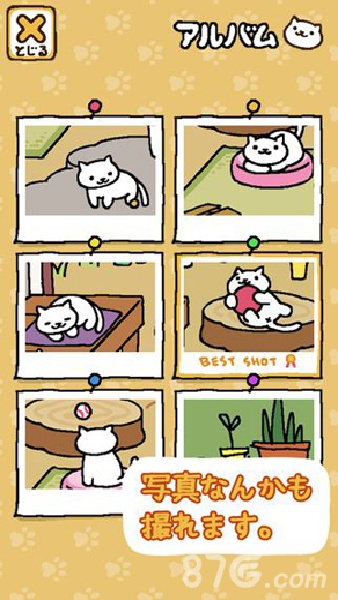 猫咪后院截图2