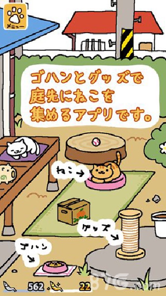 猫咪后院截图3