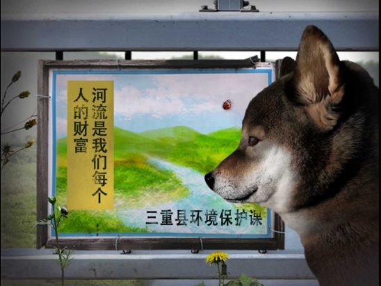 翌日波奇狗的历险记截图0