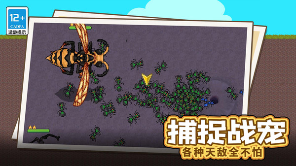 蚂蚁星球截图0
