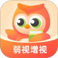 弱视增视