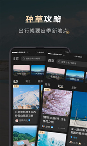 他陪旅行截图1