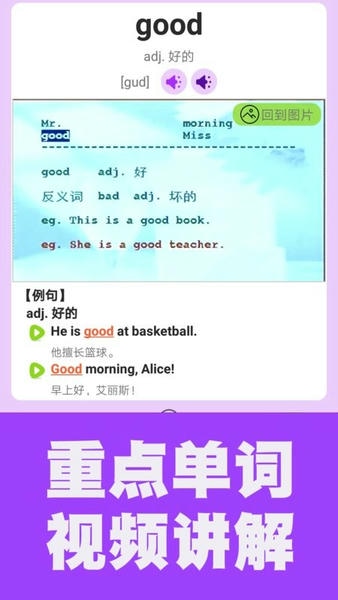 初中英语单词通截图0