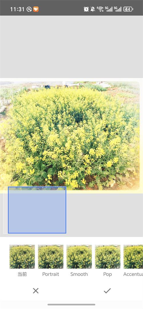 BetterSeed截图3