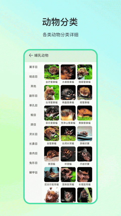 动物百科截图3
