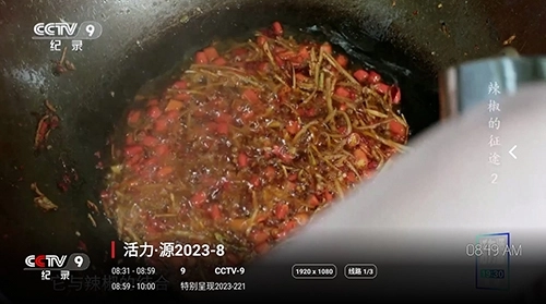 天涯影视TV版截图2